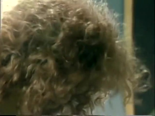 Hermaphrodite fuck guy