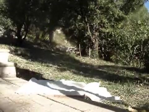Caterpillar sex toy and fisting a-hole outdoor