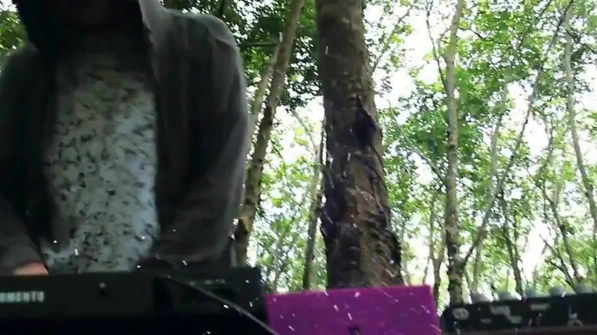 Thai Jungle Ladyboys