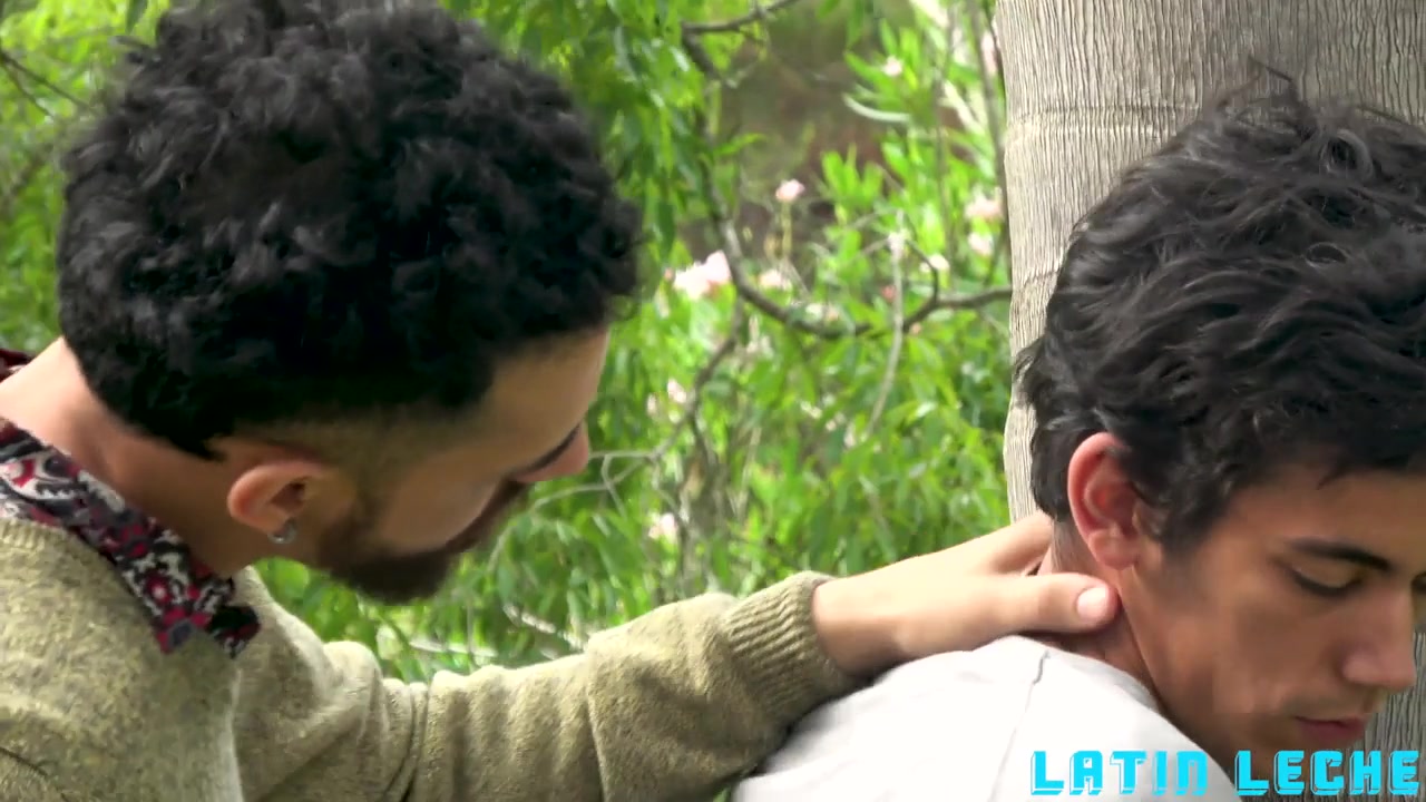 Numero 78 - LatinLeche