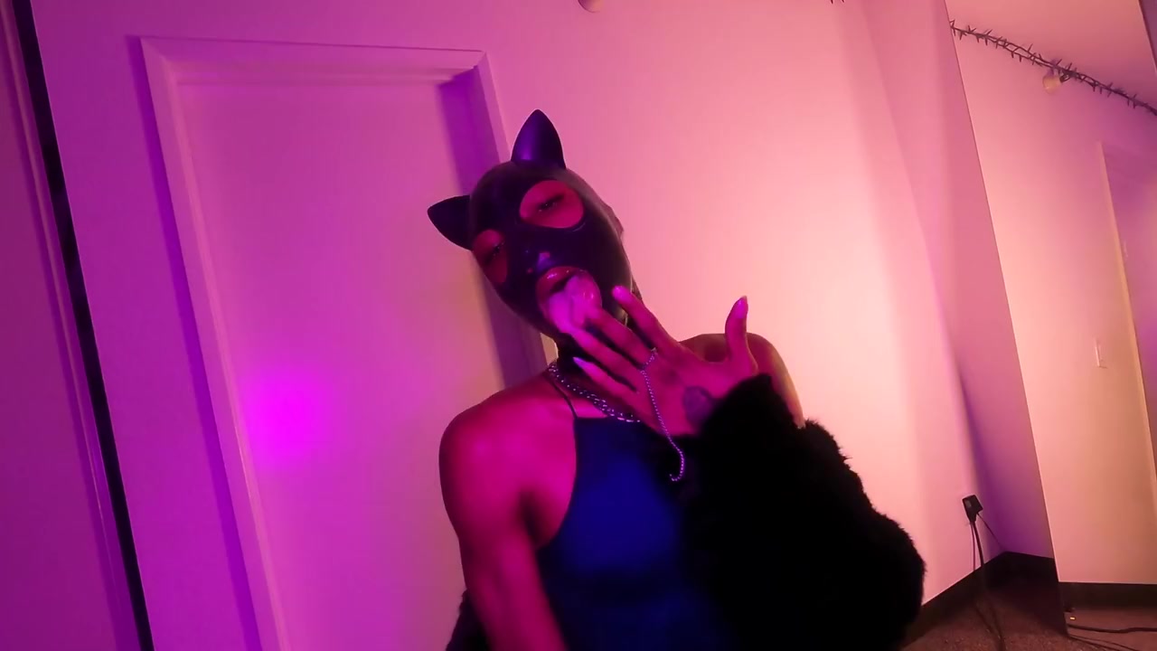 Here Kitty Kitty (video Request)