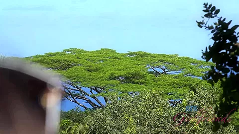 Virtual Vacation On Hawaii With Nina North Part 7
