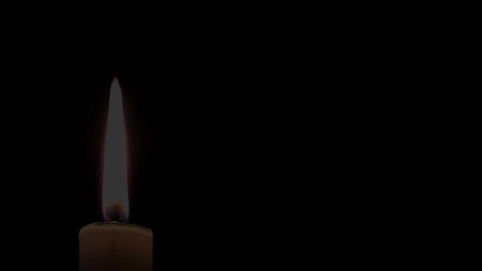 The Mafia Chapter 5 - Mafia's Shadow