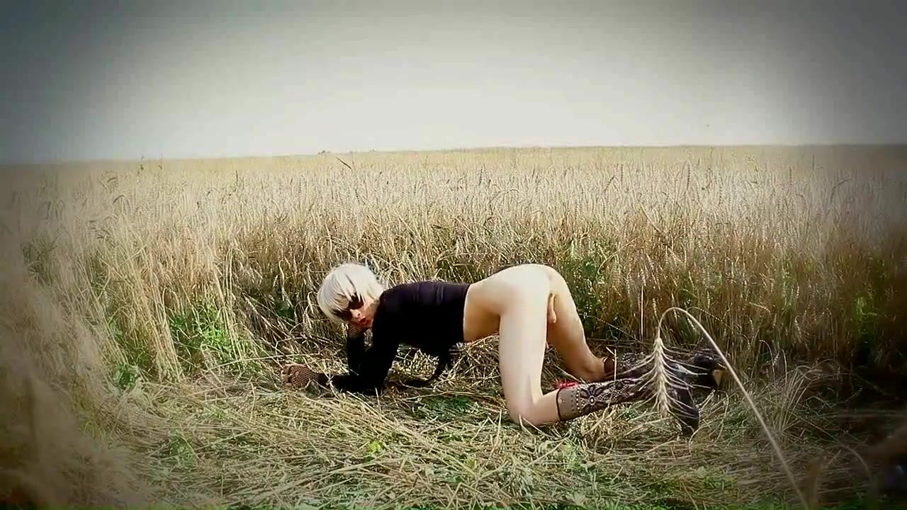 In a wheat field