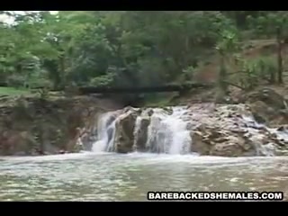 Wild And Sexy Hardcore Babe Shemale do Barebacked