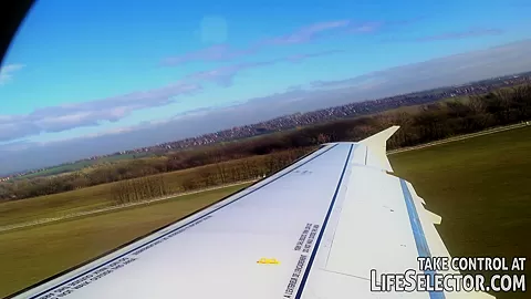 The Trickster - LifeSelector