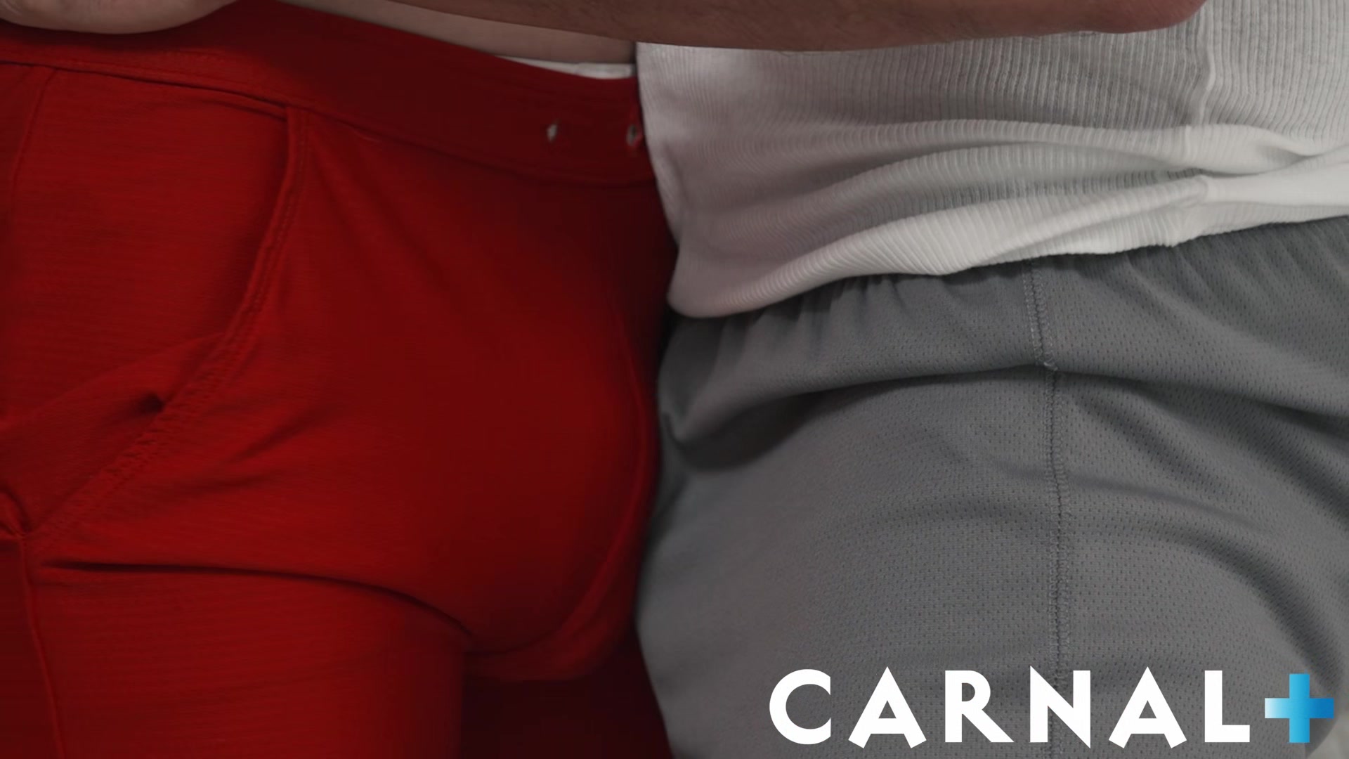 TwinkTop Hung twink Grant Ducati breeds hot horny athletic coach