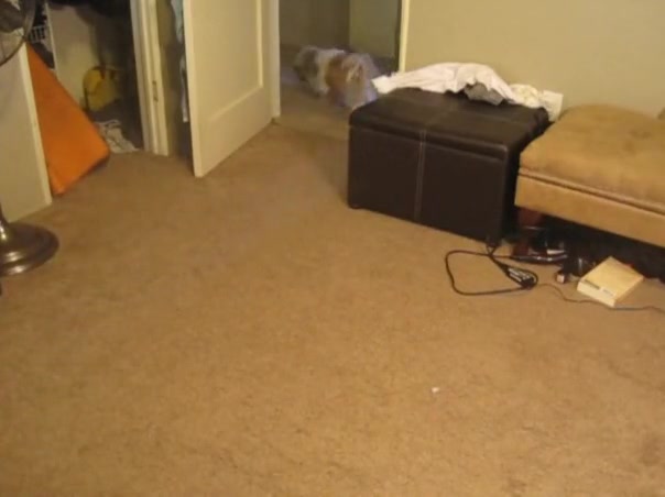 Cum trap