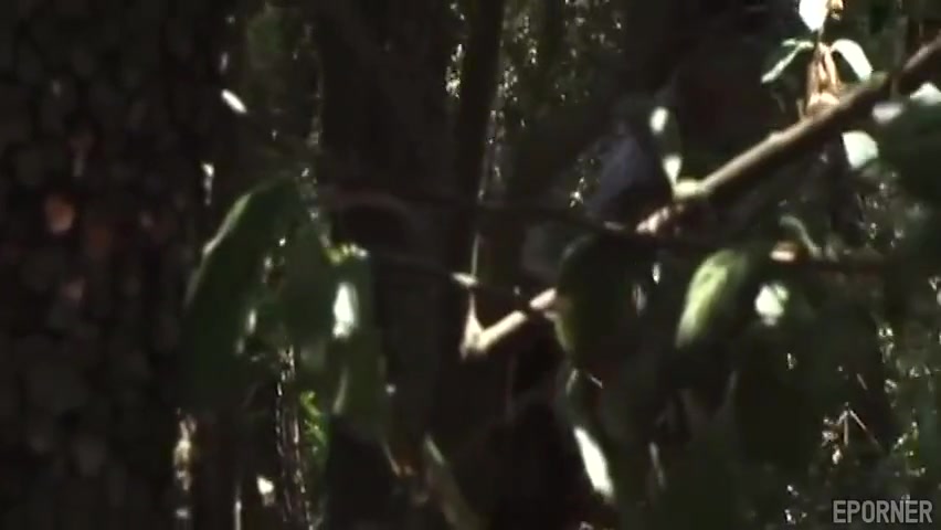 That Dude Wants It All The Way In His Asshole In The Forest