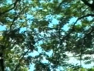 Horny homemade shemale movie with Outdoor scenes