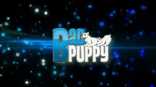 Badpuppy Tom Vojak