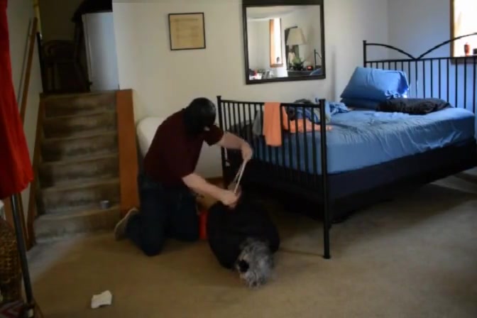 MrGoodCinch Home Invasion 1